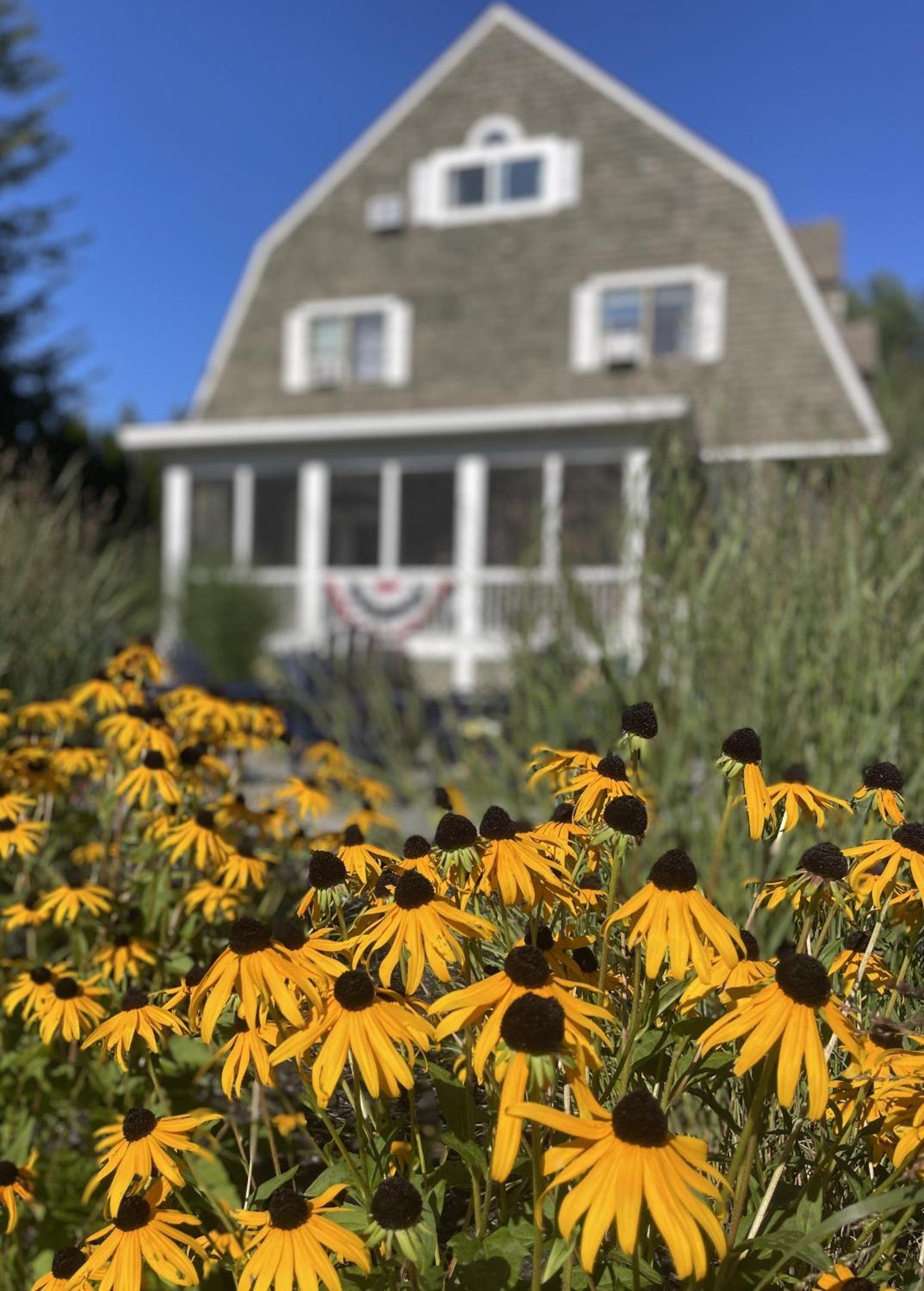 White Sails Inn Kennebunk Exterior foto